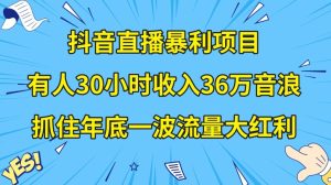 抖音直播暴利项目,有人30小时收入36万音浪,公司宣传片年会视频制作,抓住年底一波流量大红利【揭秘】-21资源库