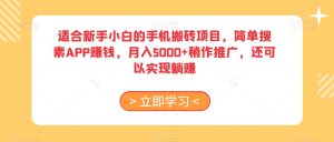 适合新手小白的手机搬砖项目，简单搜素APP赚钱，月入5000+稍作推广，还可以实现躺赚【揭秘】-21资源库