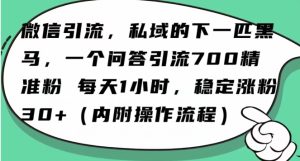 怎么搞精准创业粉?微信新赛道,每天一小时,利用Ai一个问答日引100精准粉-21资源库