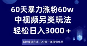 60天暴力涨粉60W，中视频另类玩法，日入3000＋，几分钟一条原创作品多种变现方式-21资源库