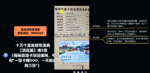 十万个富翁修炼宝典之5.揭秘旅游卡项目骗局,号称“一张卡赚500,一天能卖两三张”-21资源库