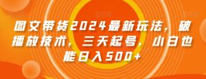 图文带货2024最新玩法，破播放技术，三天起号，小白也能日入500+【揭秘】-21资源库