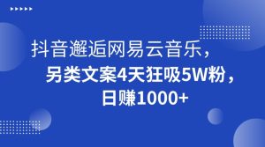 抖音邂逅网易云音乐,另类文案4天狂吸5W粉,日赚1000+【揭秘】-21资源库