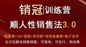 爆款！销冠训练营3.0之顺人性销售法，全方位解决销售难题、可落地、可执行、有结果-21资源库