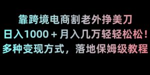 靠跨境电商割老外挣美刀，日入1000＋月入几万轻轻松松！多种变现方式，落地保姆级教程【揭秘】-21资源库