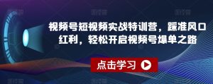 视频号短视频实战特训营，踩准风口红利，轻松开启视频号爆单之路-21资源库