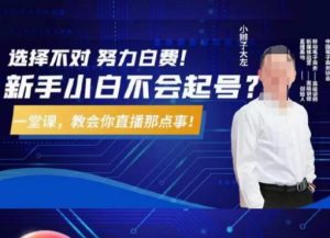大左教您从0到1做直播带货，选择不对，努力白费，5小时课程搞定那点事，解决你起号问题-21资源库