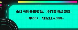 小红书账号撸收益，冷门高收益项目，一单20+，轻松日入300+【揭秘】-21资源库