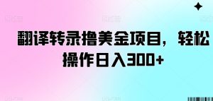 翻译转录撸美金项目,轻松操作日入300+【揭秘】-21资源库