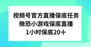 视频号直播任务，微恐小游戏，1小时20+【揭秘】-21资源库