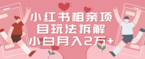 小红书相亲项目玩法拆解，有人通过这个副业项目做到了月收入2万多【揭秘】-21资源库