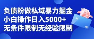 负债粉私域暴力掘金，小白操作入5000，无经验限制，无条件限制【揭秘】-21资源库
