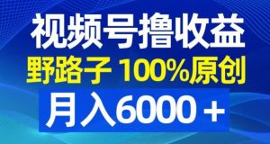 视频号野路子撸收益,100%原创,条条爆款,月入6000+【揭秘】-21资源库