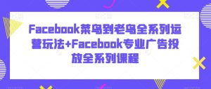Facebook菜鸟到老鸟全系列运营玩法+Facebook专业广告投放全系列课程-21资源库