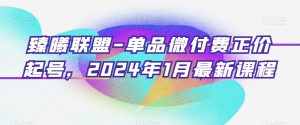 臻曦联盟-单品微付费正价起号,2024年1月最新课程-21资源库