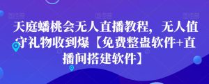 天庭蟠桃会无人直播教程，无人值守礼物收到爆【免费整蛊软件+直播间搭建软件】-21资源库