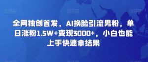 全网独创首发，AI换脸引流男粉，单日涨粉1.5W+变现3000+，小白也能上手快速拿结果【揭秘】-21资源库