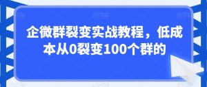 企微群裂变实战教程,低成本从0裂变100个群的-21资源库