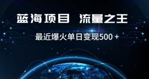 好评返现项目,稳定,小白速学月入过万【仅揭秘】-21资源库