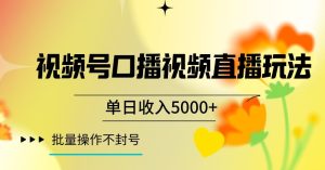 视频号囗播视频直播玩法，单日收入5000+，批量操作不封号【揭秘】-21资源库