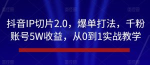 抖音IP切片2.0,爆单打法,千粉账号5W收益,从0到1实战教学【揭秘】-21资源库