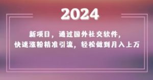 2024新项目,通过国外社交软件,快速涨粉精准引流,轻松做到月入上万【揭秘】-21资源库