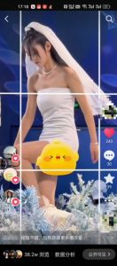 最新九宫格搬运，十秒一个作品，破了几十万播放的搬运技术【揭秘】-21资源库