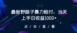 最新野路子暴力赔付，当天上手日收益1000+【仅揭秘】-21资源库