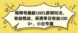 视频号最新100%原创玩法,收益稳定,亲测单日收益1000+,小白专属【揭秘】-21资源库