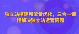 独立站搭建和流量优化，三合一课程解决独立站运营问题-21资源库