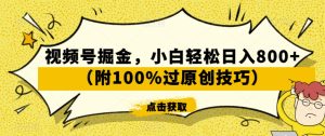 视频号掘金，小白轻松日入800+（附100%过原创技巧）【揭秘】-21资源库
