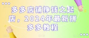 多多店铺挣钱之起店，2024年最新拼多多教程-21资源库