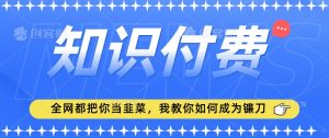 2024最新知识付费项目,小白也能轻松入局,全网都在教你做项目,我教你做镰刀【揭秘】-21资源库