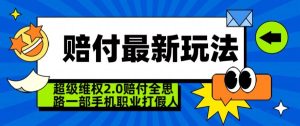 超级维权2.0全新玩法,2024赔付全思路职业打假一部手机搞定【仅揭秘】-21资源库