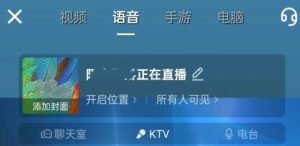 躺赚神器之无人值守音乐直播-21资源库