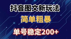 抖音图文流量变现，抖音图文新玩法，日入200+【揭秘】-21资源库