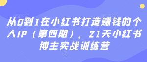 从0到1在小红书打造赚钱的个人IP（第四期），21天小红书博主实战训练营-21资源库