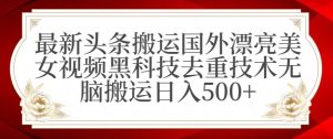 最新头条搬运国外漂亮美女视频黑科技去重技术无脑搬运日入500+【揭秘】-21资源库