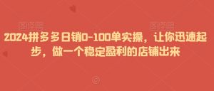 2024拼多多日销0-100单实操,让你迅速起步,做一个稳定盈利的店铺出来-21资源库