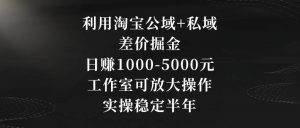 利用淘宝公域+私域差价掘金，日赚1000-5000元，工作室可放大操作，实操稳定半年【揭秘】-21资源库