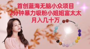 首创蓝海无脑小众项目，2分钟暴力吸粉小姐姐富太太，月入几十万【揭秘】-21资源库
