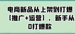 电商新品从上架到打爆【推广+运营】，新手从0打爆款-21资源库