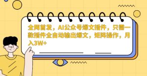 全网首发，AI公众号爆文插件，只需一款插件全自动输出爆文，矩阵操作，月入3W+【揭秘】-21资源库