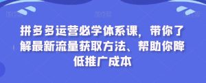 拼多多运营必学体系课，带你了解最新流量获取方法、帮助你降低推广成本-21资源库