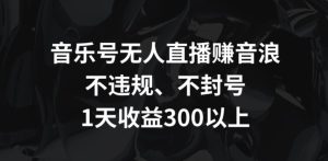 音乐号无人直播赚音浪,不违规、不封号,1天收益300+【揭秘】-21资源库