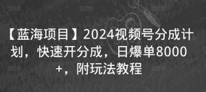 【蓝海项目】2024视频号分成计划,快速开分成,日爆单8000+,附玩法教程-21资源库