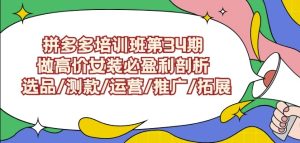拼多多培训班第34期:做高价女装必盈利剖析选品/测款/运营/推广/拓展-21资源库