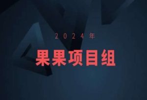2024年果果项目组项目合集-果果最新项目-21资源库