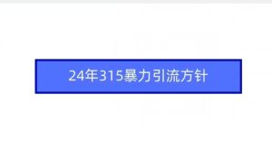 24年315暴力引流方针-21资源库
