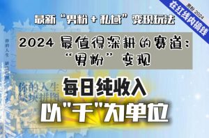 【私域流量最值钱】把“男粉”流量打到手,你便有无数种方法可以轻松变现,每日纯收入以“千”为单位-21资源库